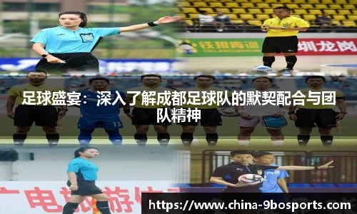 足球盛宴:深入了解成都足球队的默契配合与团队精神